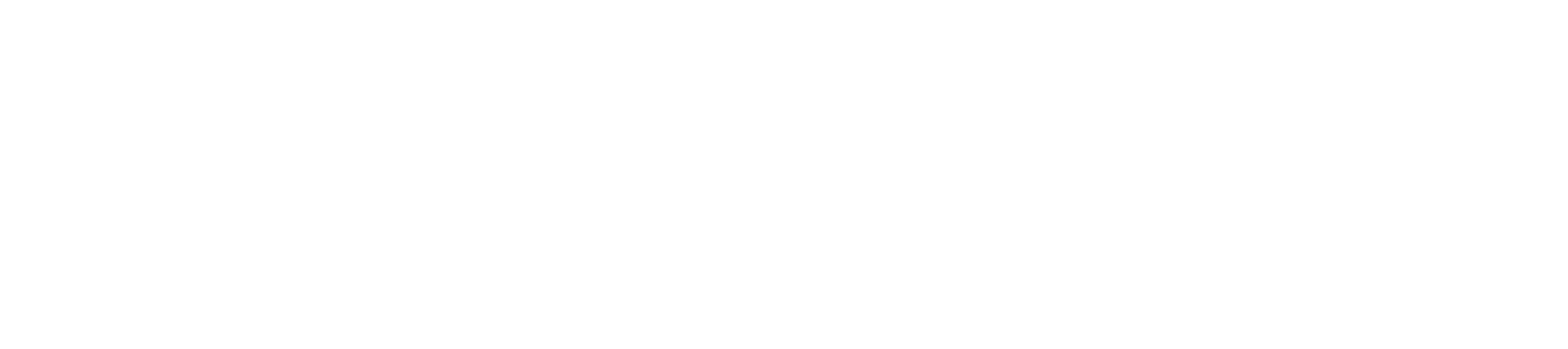 Co-funded by the EU logo